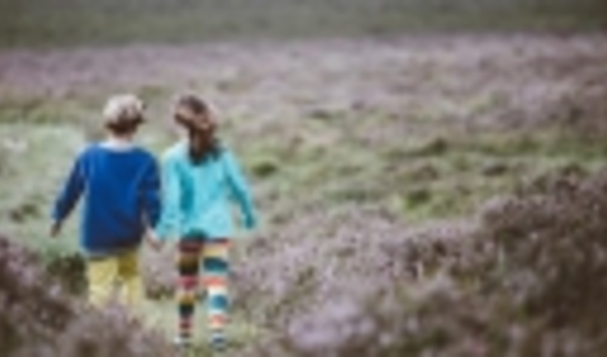 International essay competition invites schoolchildren to share ideas on SDG15 Life on Land