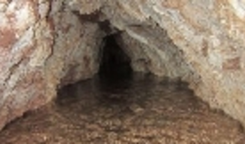 احیاء ۷ قنات در شهرستان قاین