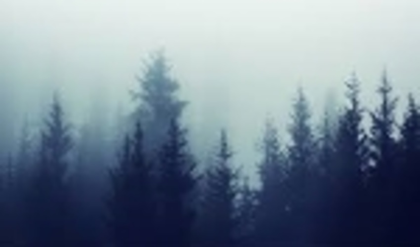 Countries in the boreal coniferous forest zone met in Haparanda