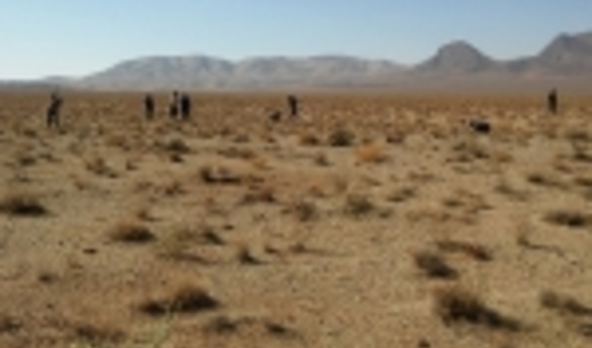 کاشت 60هزار نهال در طرح ترسیب کربن محلات کلید خورد