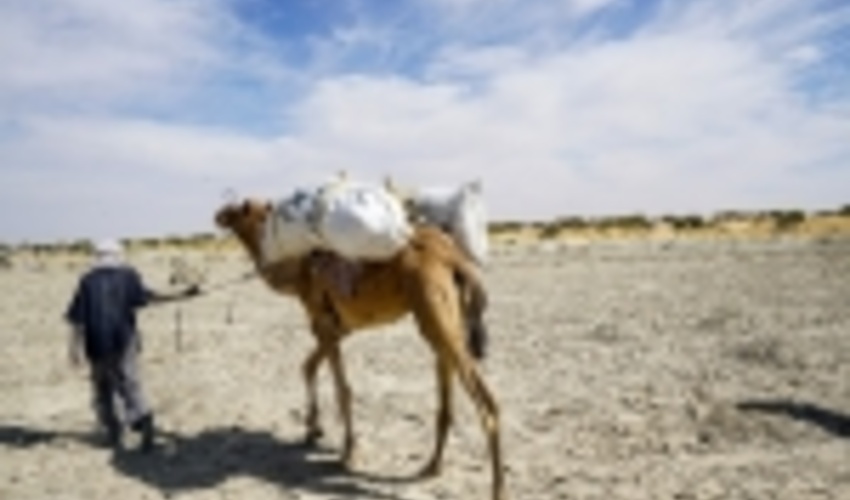 UNDP Chief says clock ticking on climate action