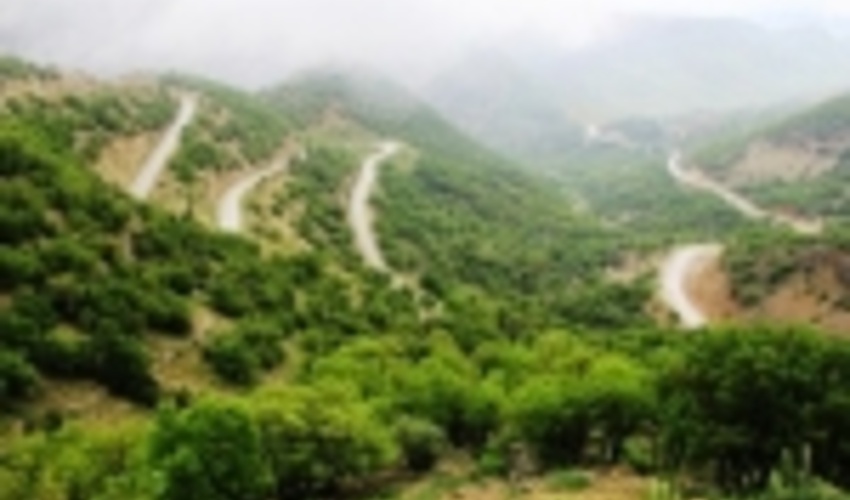 حفظ جنگل های کشور در گرو مشارکت مردم است