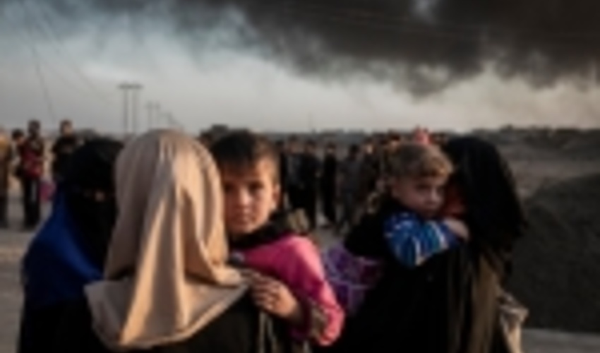 Ecosystems for peace