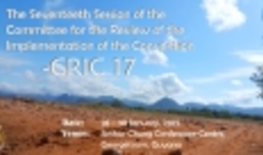 CRIC17 | 28-30 January 2019 | Georgetown, Guyana 