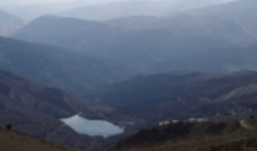 15 منطقه با تنوع زیستی بالا در جنگل‌های هیرکانی شناسایی شد