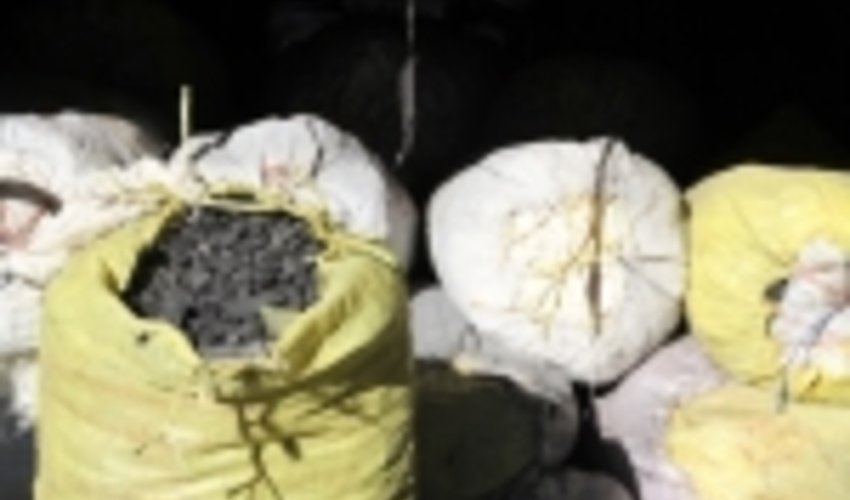 8 کوره غیرمجاز تهیه زغال در سبزوار کشف شد