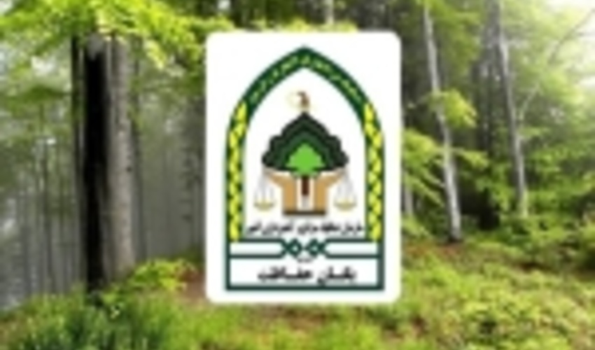 این بار حمله به مامورین حفاظت منابع طبیعی تالش