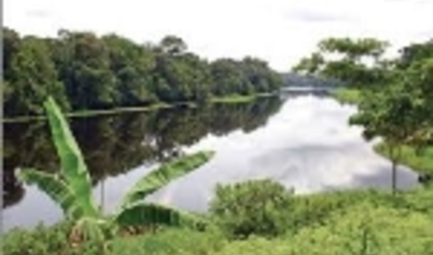 EU Bioeconomy Strategy seeks for a systematic approach to address the bioeconomy value chain