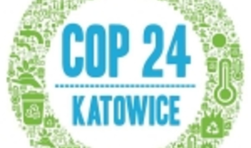 Three conventions, one planet: making the case for nature and people at COP24