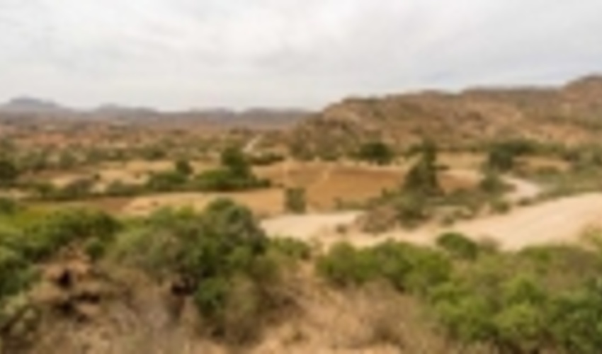  How much land is degraded globally? 