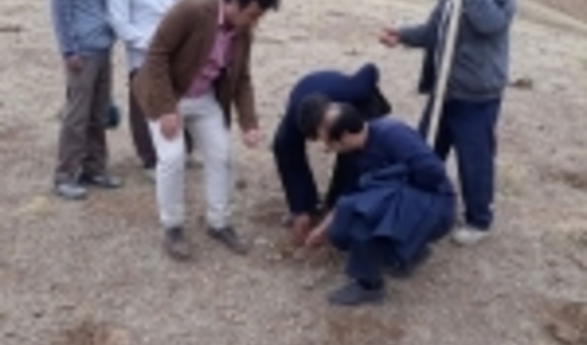 اجرای هفت پروژه بیولوژیک در حوزه جنگل استان کرمانشاه 