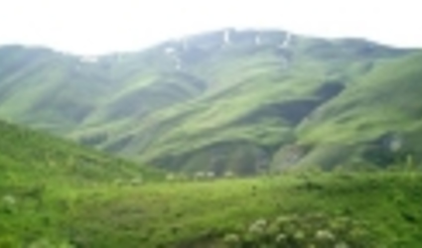 غنی سازی 230 هکتار از مراتع کُردستان