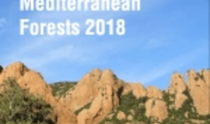 The FAO-Plan Bleu Report “The state of Mediterranean forests 2018” has been released