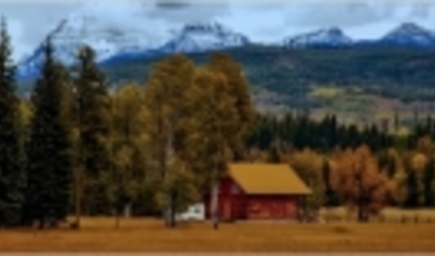 Who owns European Forests?