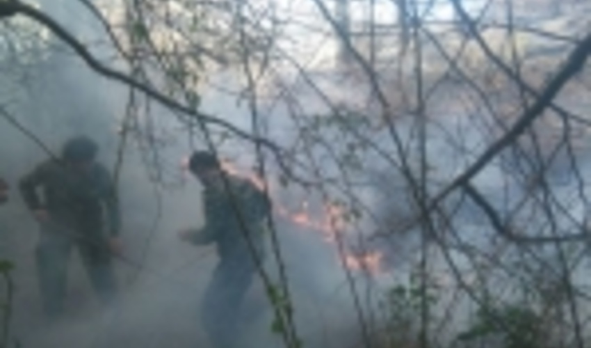 وزش بادگرم در گیلان