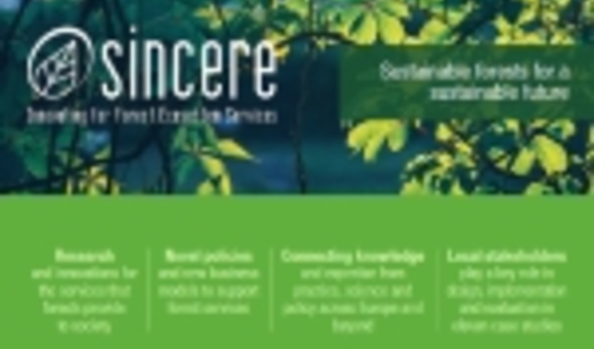 EUSTAFOR starts work on the SINCERE Project