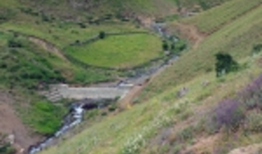 عملیات بیولوژیک کردستان 95 درصد پیشرفت فیزیکی دارد