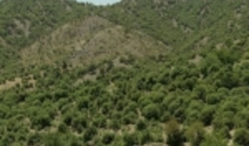 سياست هاي اجرايي مديريت بوم سازگان جنگلي زاگرس اعلام شد