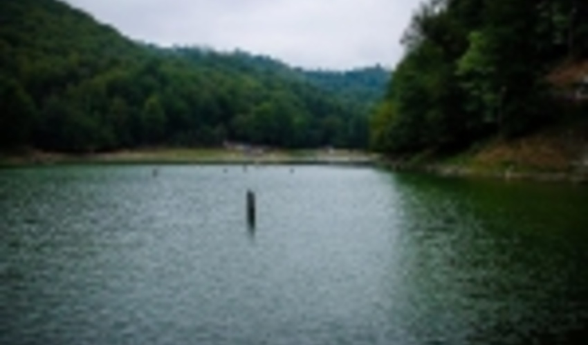  آیا جنگل‌های شمال کشور تا ۳۰ سال آینده نابود می‌شوند؟