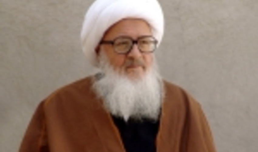 رئیس سازمان جنگل‌ها  و مراتع با آیت‌الله وحید خراسانی دیدار کرد