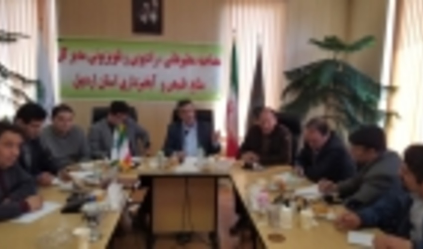 آغاز تولید ۲ میلیون اصله نهال صنوبر در شمال استان اردبیل