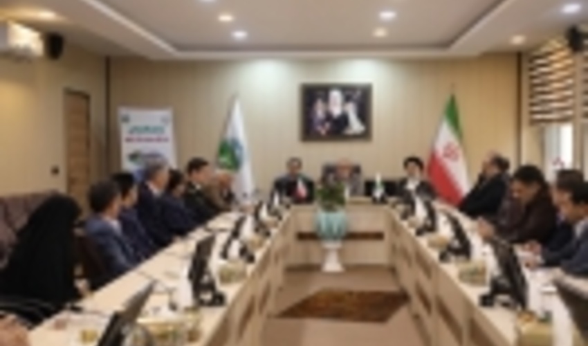 گزارش تصویری نشست ویدئوکنفرانسی رئیس سازمان جنگل‌ها با مدیران ستادی و استانی