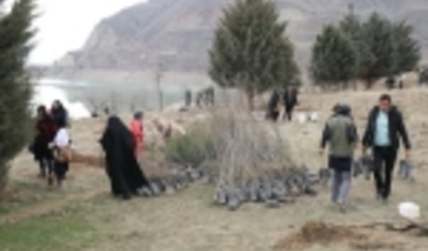 درختکاری علاقمندان طبیعت در لتیان/گزارش تصویری ۱