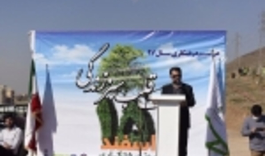 توزیع ۵۰۰ هزار اصله نهال در استان البرز