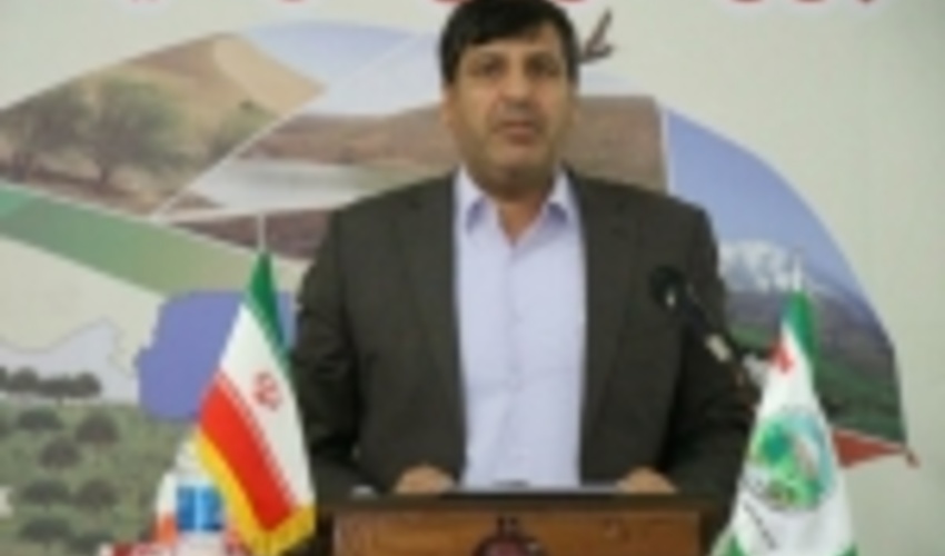 ۱۱۶ هکتار اراضی استان سمنان نهال‌کاری شد