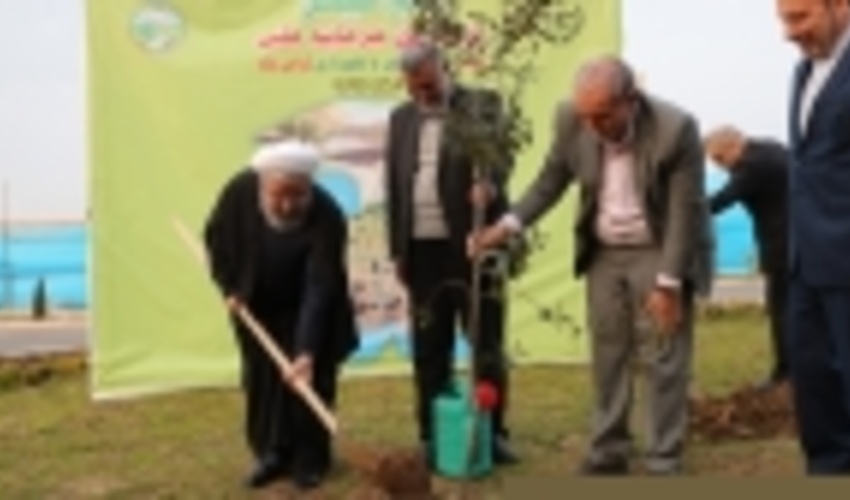 President Plants a Sapling 