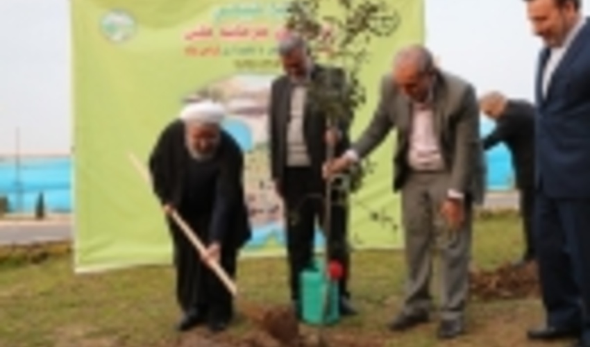 کاشت نهال به دست رئیس جمهور