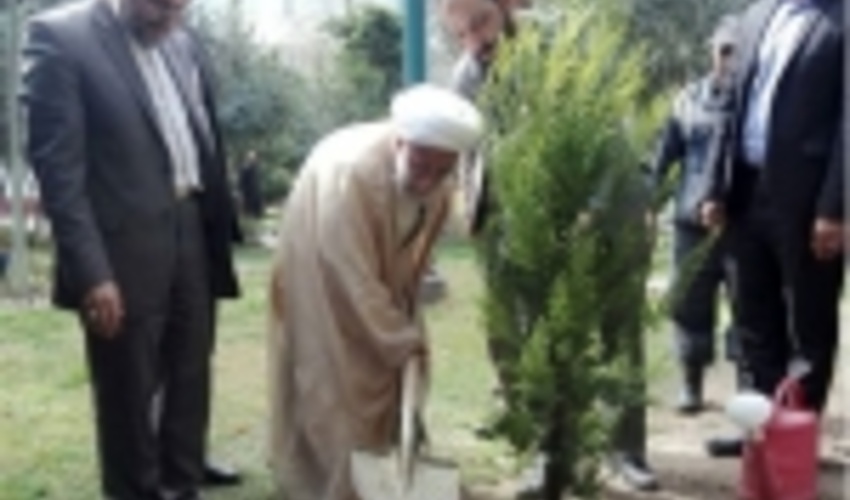 یک نهال توسط آیت الله جنتی غرس شد