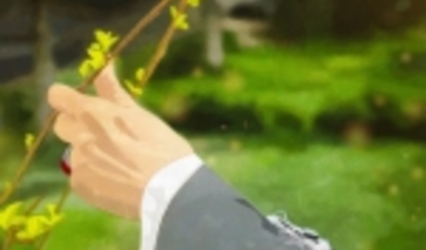 Islam seeks to preserve equilibrium between mankind and nature