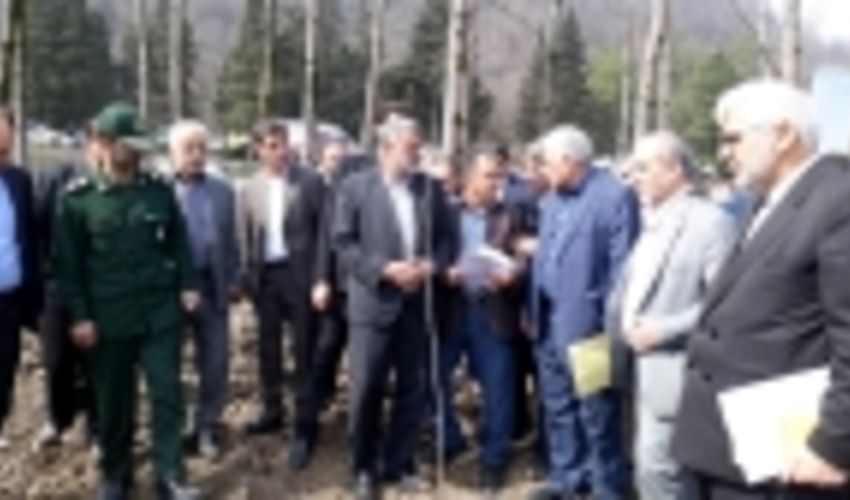 Minister of Agriculture Jahad Inaugurate Talesh Timber Cropping Project