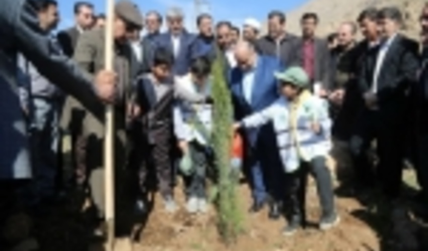 2500 اصله نهال با حضور استاندار کرمانشاه غرس شد 