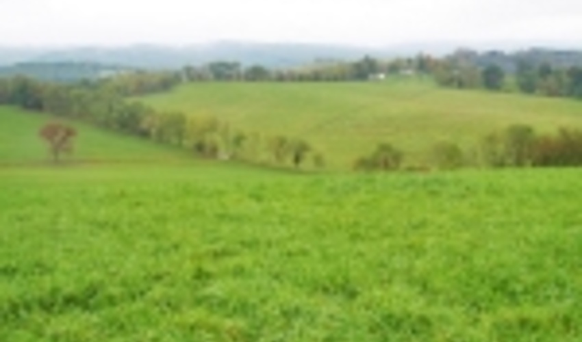 48 پروژه آبخیزداری، اصلاح و احیای مراتع در استان ایلام اجرا شد 