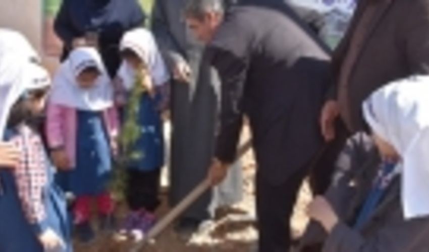 درختکاری مشترک شهرک‌های صنعتی و منابع طبیعی در یاسوج