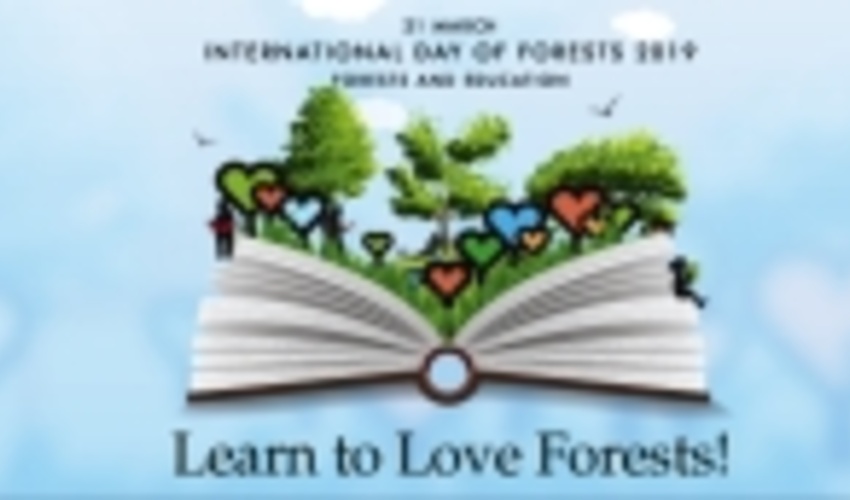 International Day of Forests 2019