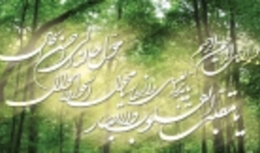 با آمدن بهار با طبیعت مهربان باشیم