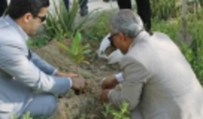 کاشت 19 نهال ایثار و شهادت به‌ یاد شهدای قشم 