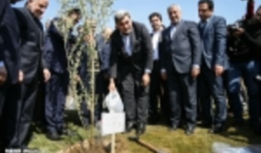 Officials, Diplomats Plant Trees to Highlight Friendship and Peace 