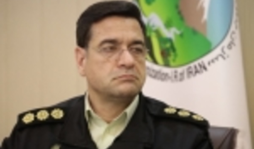 کاهش آتش سوزی عرصه‌های منابع طبیعی در ایام نوروز ۹۸