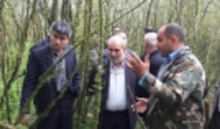 بازدید رئیس سازمان جنگل‌ها از رویشگاه‌های شمشاد استان گلستان
