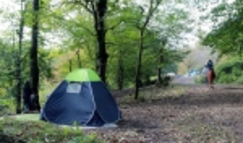 نوشهر/ 38 پارك و تفرجگاه جنگلي آماده حضور مردم در روز طبیعت