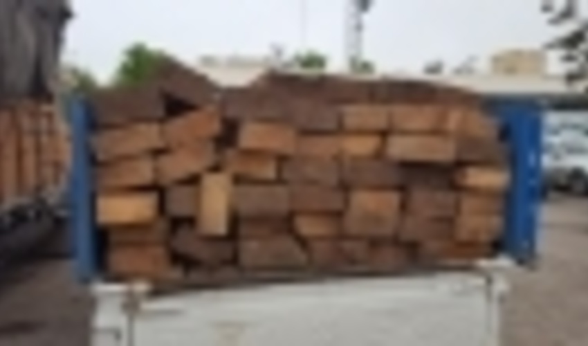 اردبیل / قاچاق چوب آلات قاچاق جنگلی تحت کنترل است