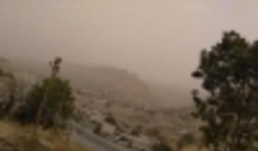 ایلام/بارش های سیلابی زمین را سیراب و خاک را تثبیت کرد