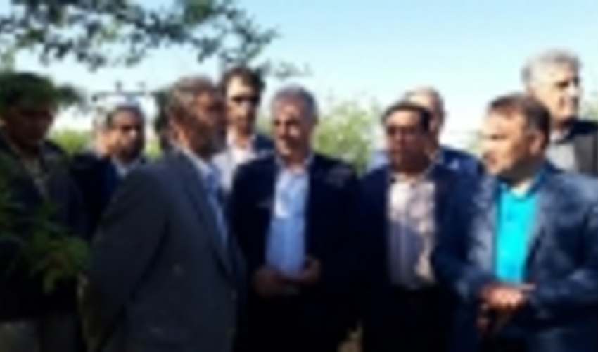 Six Trillion RLs to Be Spent on Forestry in Zagros provinces