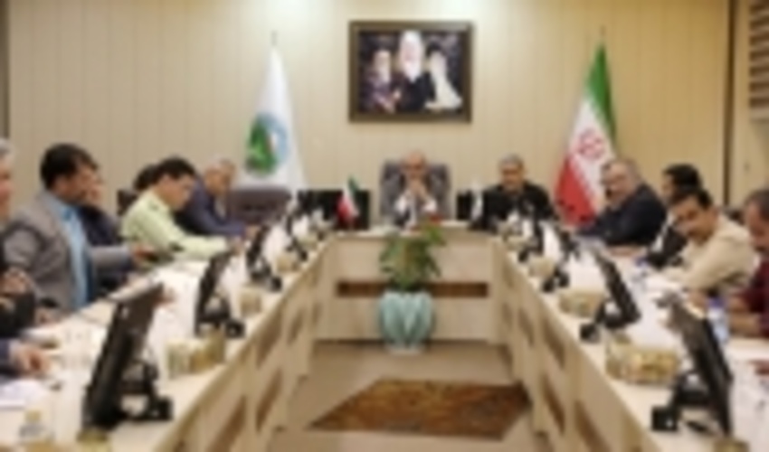 رییس سازمان جنگل ها بر مستندسازی اثربخشی طرح های منابع طبیعی تاکید کرد