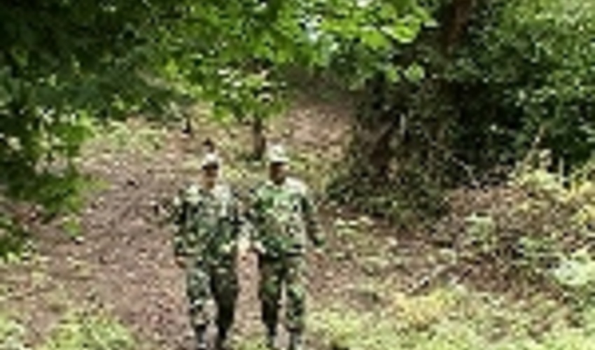 کمبود جنگل بان در گیلان  