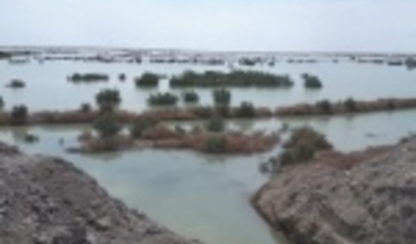 پخش سیلاب در 3هزار و 700هکتار از اراضی نیمروز